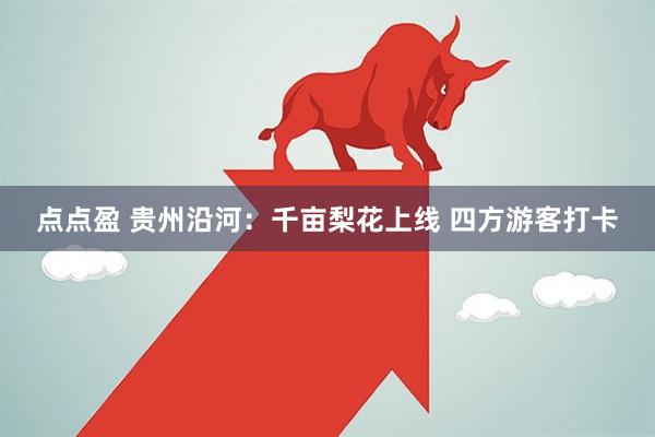 点点盈 贵州沿河：千亩梨花上线 四方游客打卡